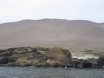 [Iles Ballestas]