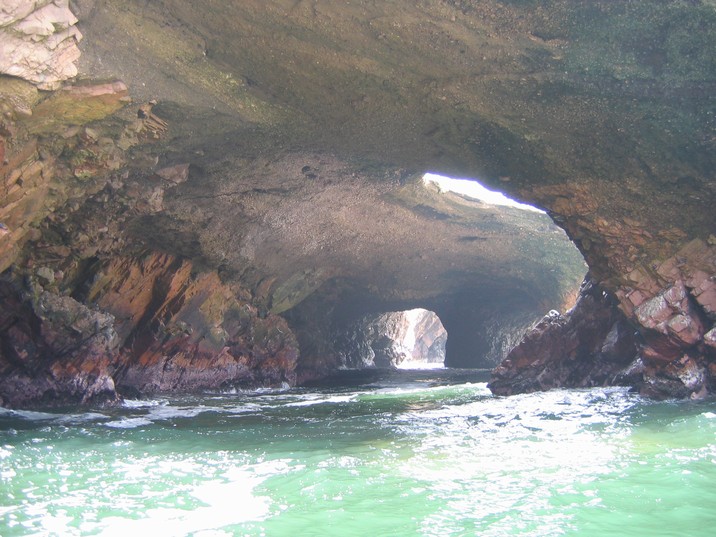 [Iles ballestas]