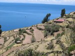 [Taquile]