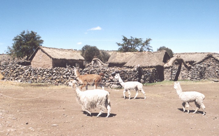 [Ferme  Sillustani]
