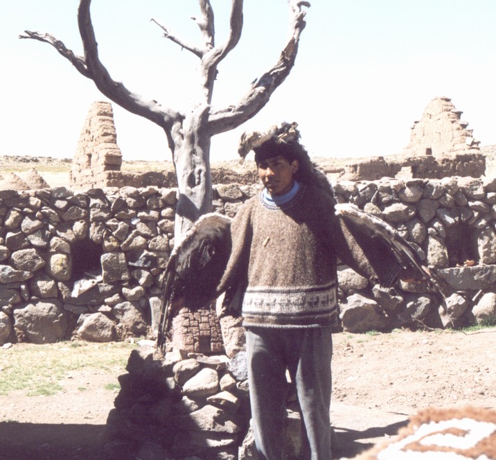 [Costume de Condor]