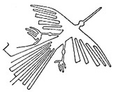 [Le Condor]