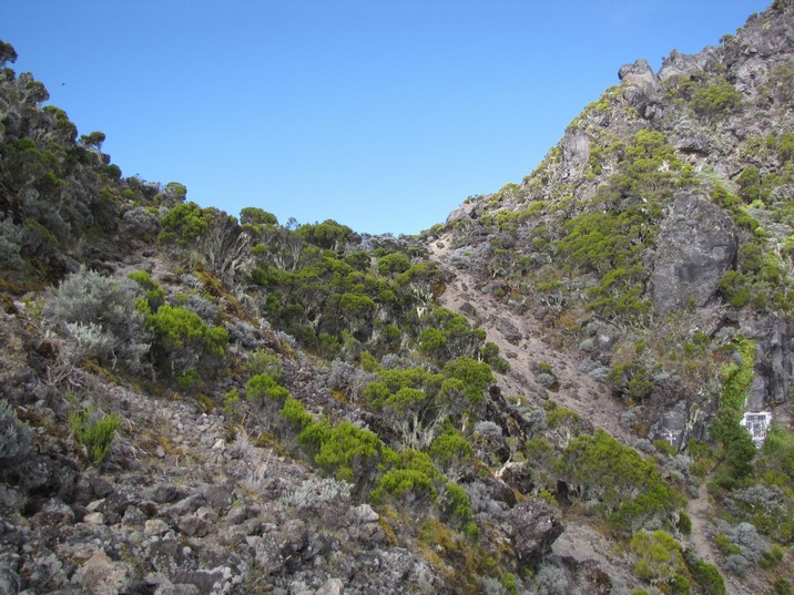 [Sommet de la monte]