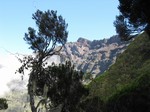 [Le piton des Neiges]