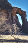 wadi de Techwinat