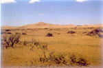Wadi Berjuj